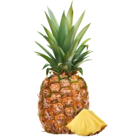 Ananas: Gesundes Tropenobst mit wenig Kalorien