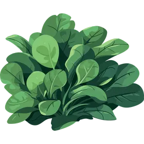 Spinat: Das gesunde Powergemüse für deine kohlenhydratarme Ernährung