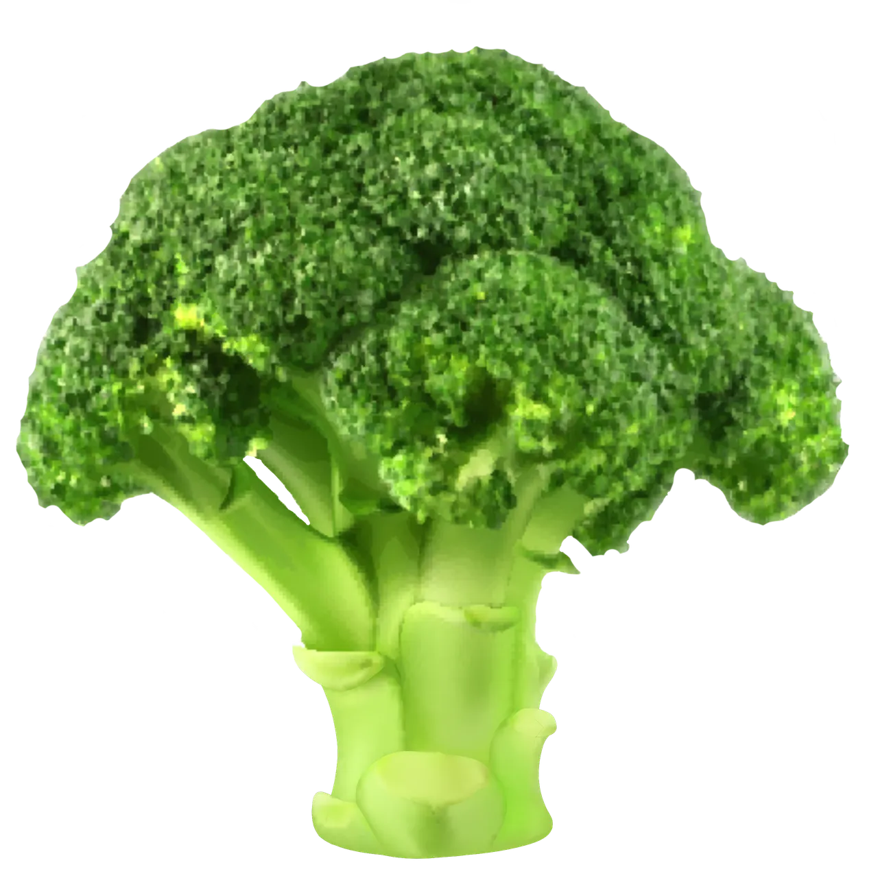 Brokkoli: Kalorienarmes Powergemüse mit Vitamin-C-Boost