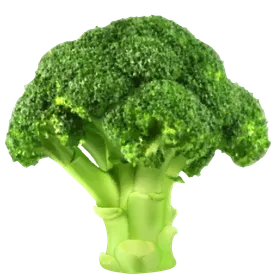 Brokkoli: Kalorienarmes Powergemüse mit Vitamin-C-Boost