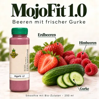 Mojo Fit 1.0, 250 ml, mit ausgewählten Zutaten Erdbeeren, Himbeeren und Gurke