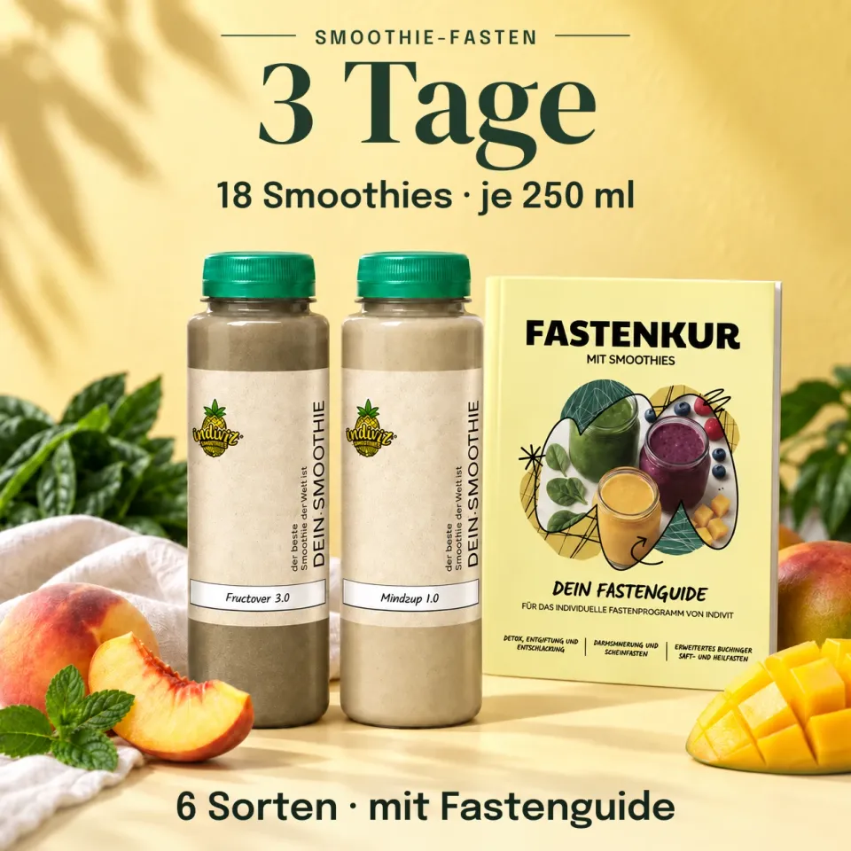3 Tage Smoothie-Fasten: 18 Smoothies à 250 ml mit Fastenguide