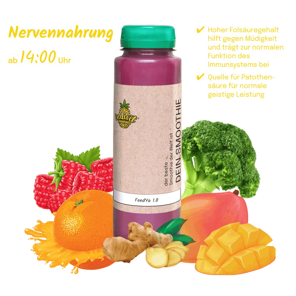 Smoothie-Fasten im stressigen Büroalltag FeedYa 1.0 Intervallfasten Smoothie als Office-Begleiter