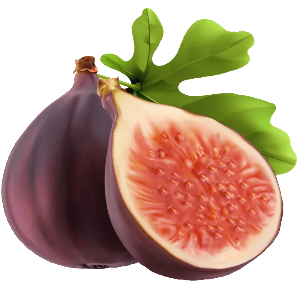 Feige: Wie gesund ist die süße Frucht wirklich? Kalorien & Nährwerte im Check