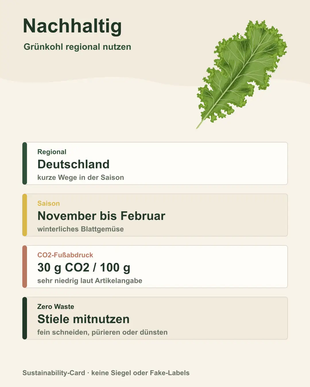 Regionale Grünkohlernte auf Feld mit CO₂-Infografik
