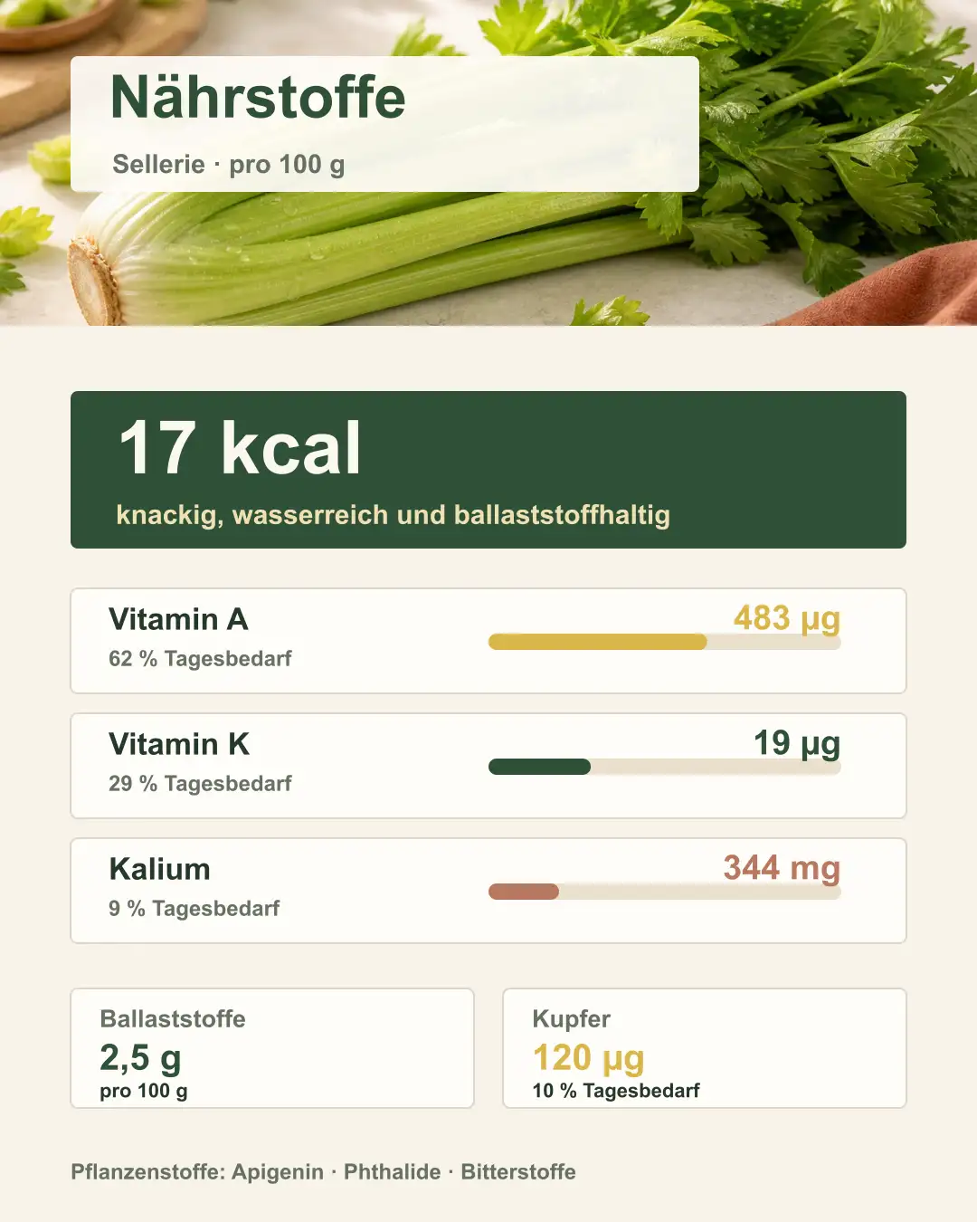 Infografik mit Sellerie und seinen Vitaminen