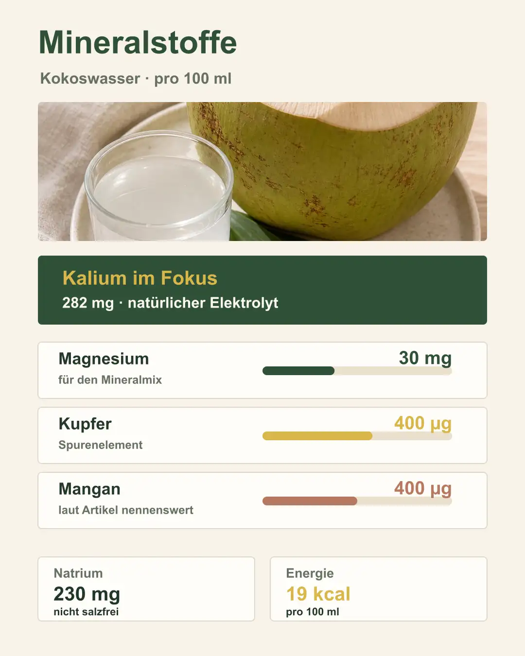 Darstellung der Mineralstoffe in Kokoswasser in illustrativer Form