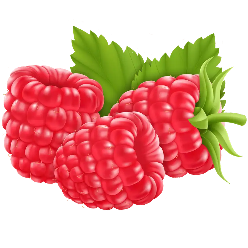 Himbeeren: Kalorienarmes Powerfood mit geballter Nährstoffkraft