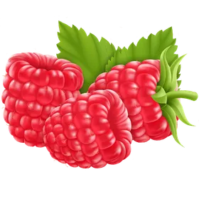 Himbeeren: Kalorienarmes Powerfood mit geballter Nährstoffkraft