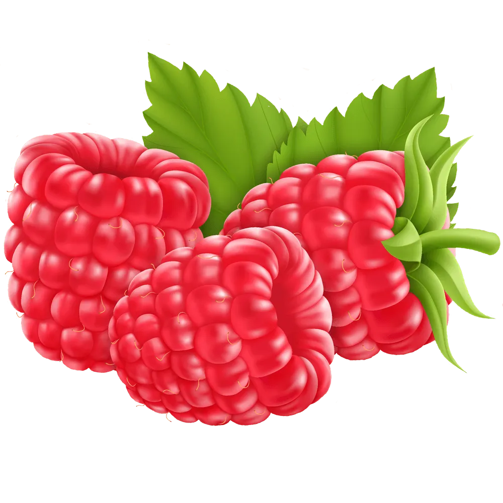 Himbeeren: Kalorienarmes Powerfood mit geballter Nährstoffkraft