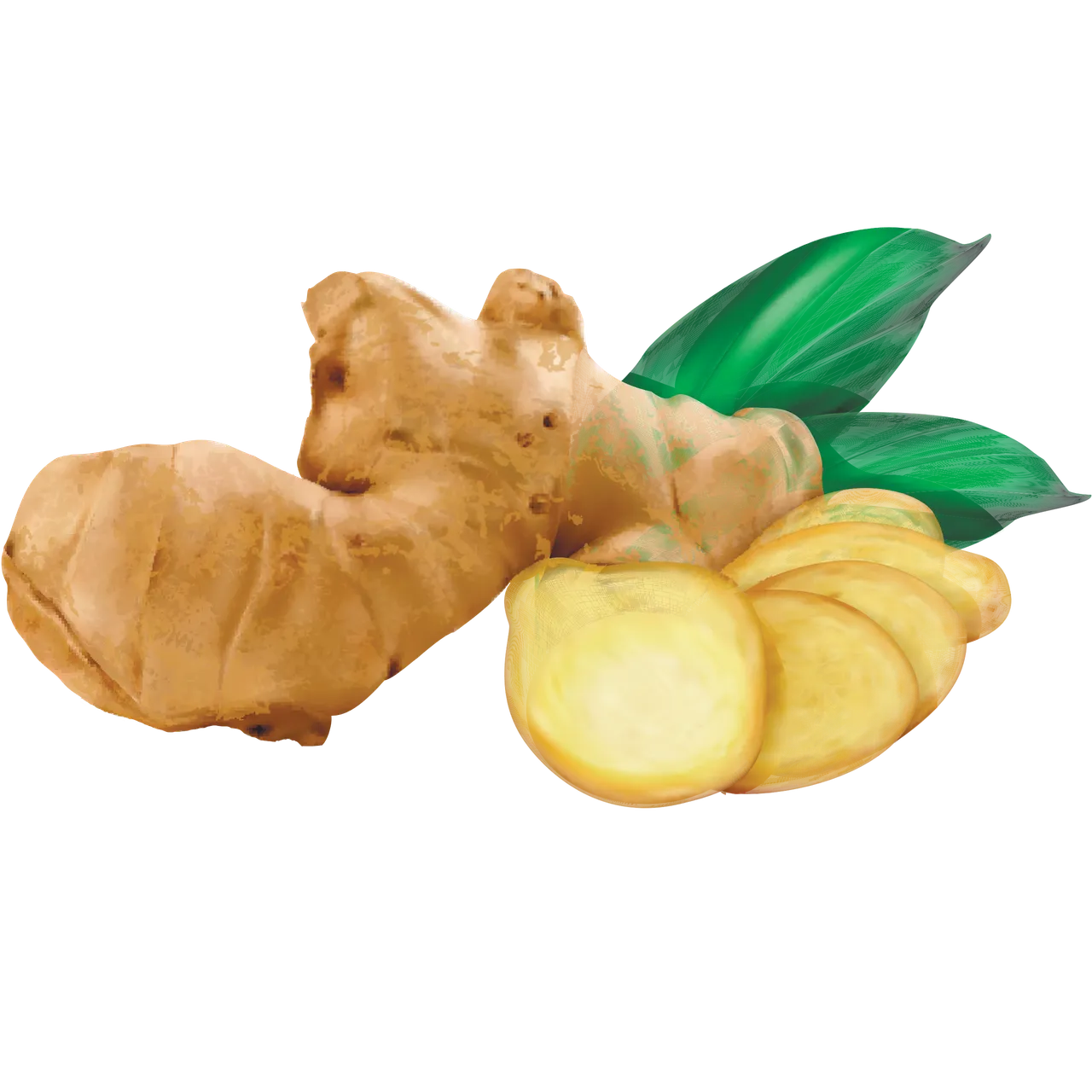 Ingwer: Wirkung und Gesundheitspower der scharfen Knolle