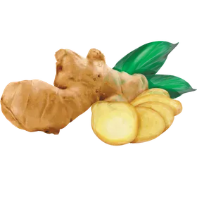 Ingwer: Wirkung und Gesundheitspower der scharfen Knolle