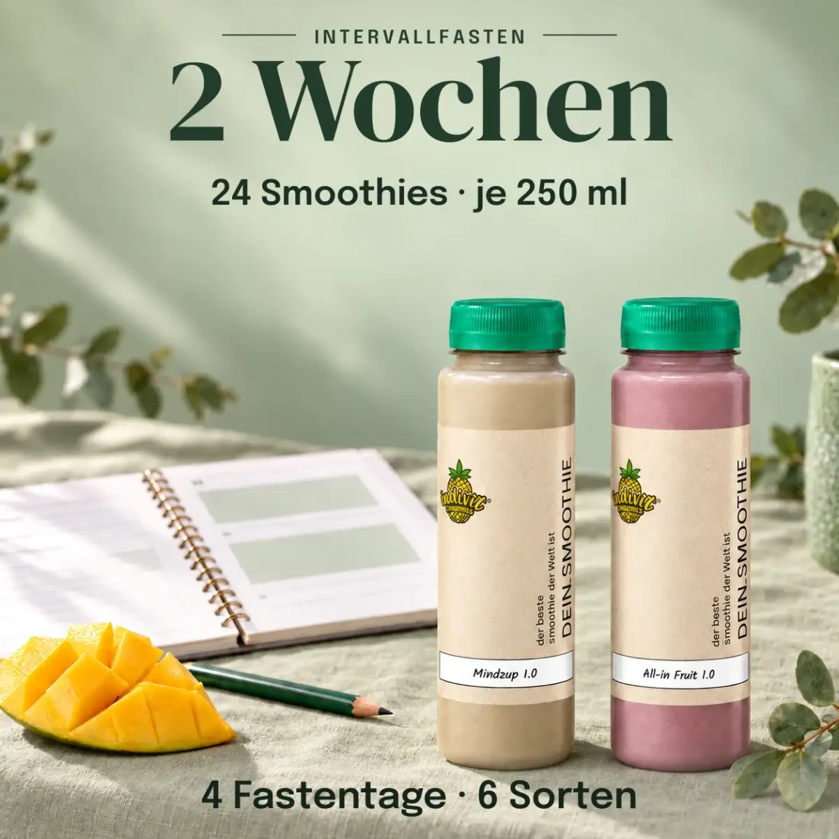 2 Wochen Intervallfasten: 4 Fastentage mit 24 Smoothies à 250 ml 2 Wochen Intervallfasten: 4 Fastentage mit 24 Smoothies à 250 ml