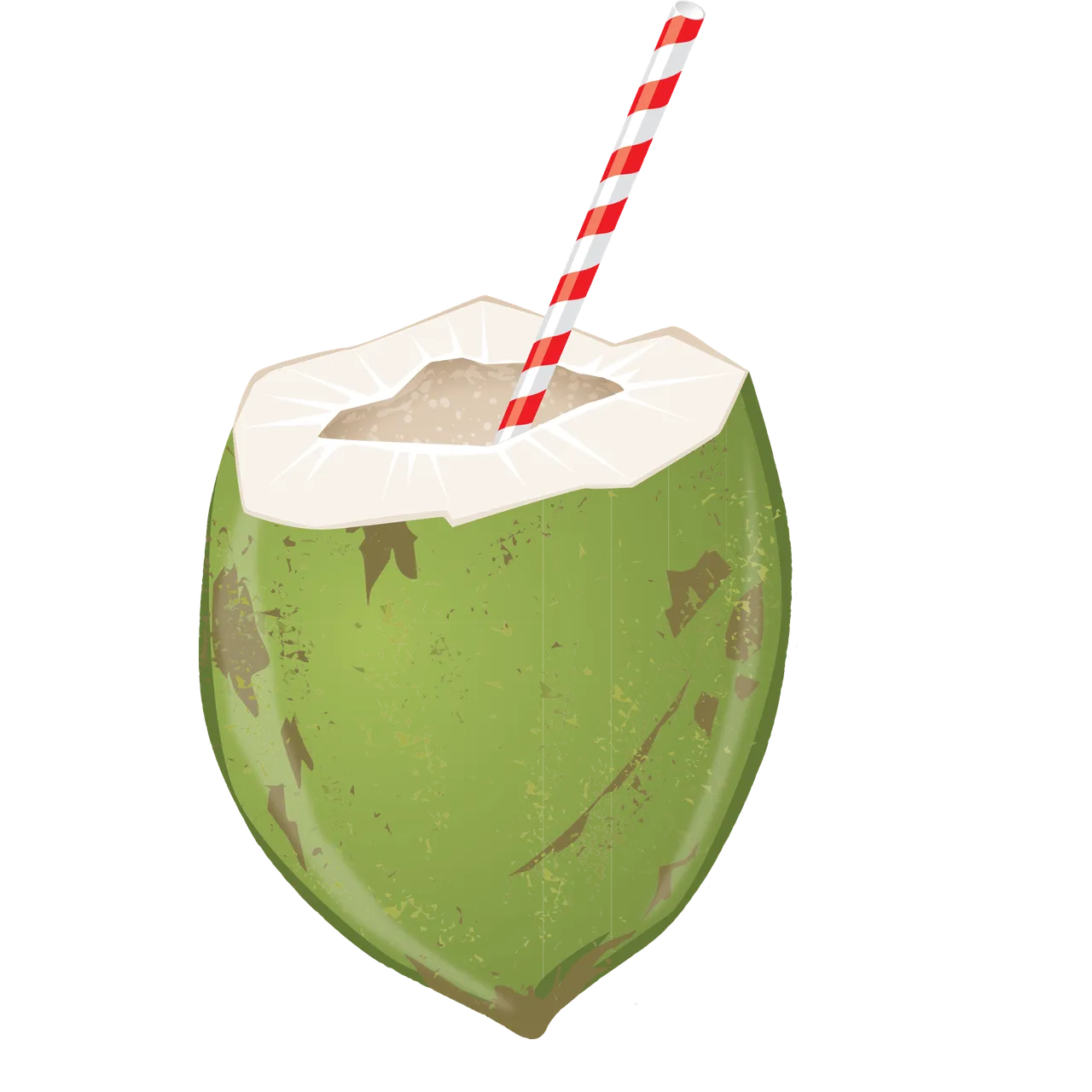 Kokoswasser: Natürliches Elektrolytgetränk mit vielfältiger Wirkung