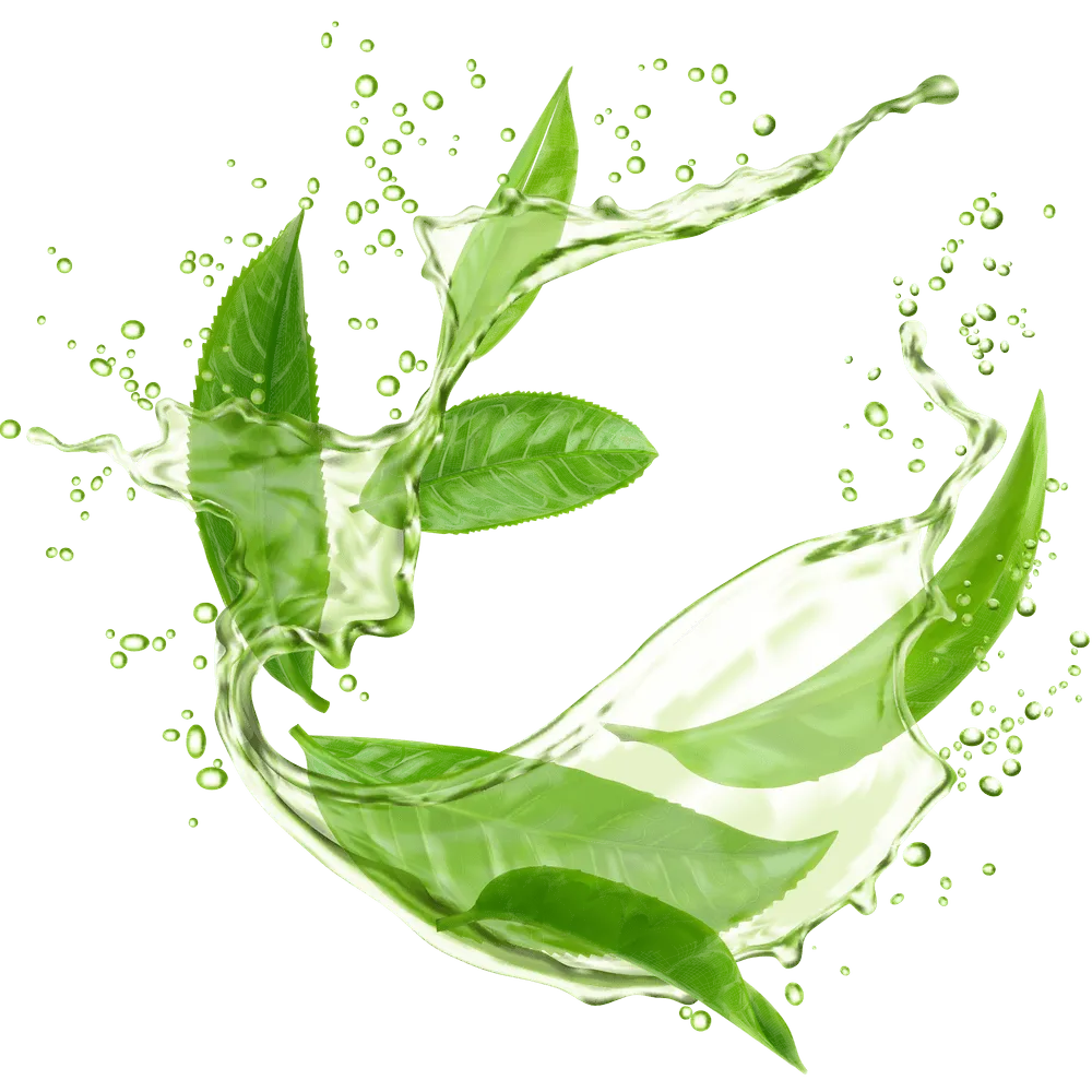 Matcha-Grüntee: Wirkung, Abnehmen und gesunde Inhaltsstoffe im Überblick