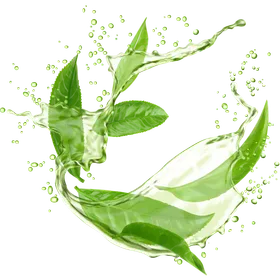 Matcha-Grüntee: Wirkung, Abnehmen und gesunde Inhaltsstoffe im Überblick