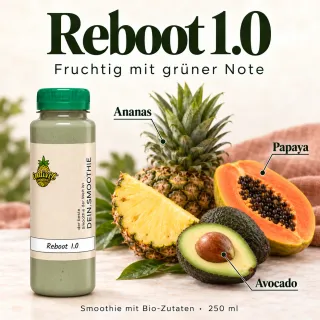 Reboot 1.0, 250 ml, mit ausgewählten Zutaten Ananas, Papaya und Avocado