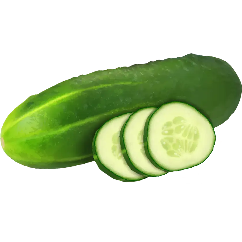 Salatgurke: Kalorienarmes Powergemüse mit Gesundheitsboost