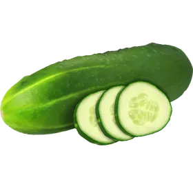 Salatgurke: Kalorienarmes Powergemüse mit Gesundheitsboost