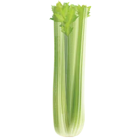 Sellerie: Das unterschätzte Powergemüse für deine Gesundheit