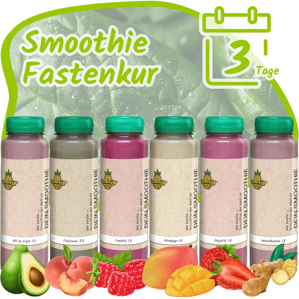 Sechs Flaschen der Smoothie Fastenkur Box für 3 Tage Detox