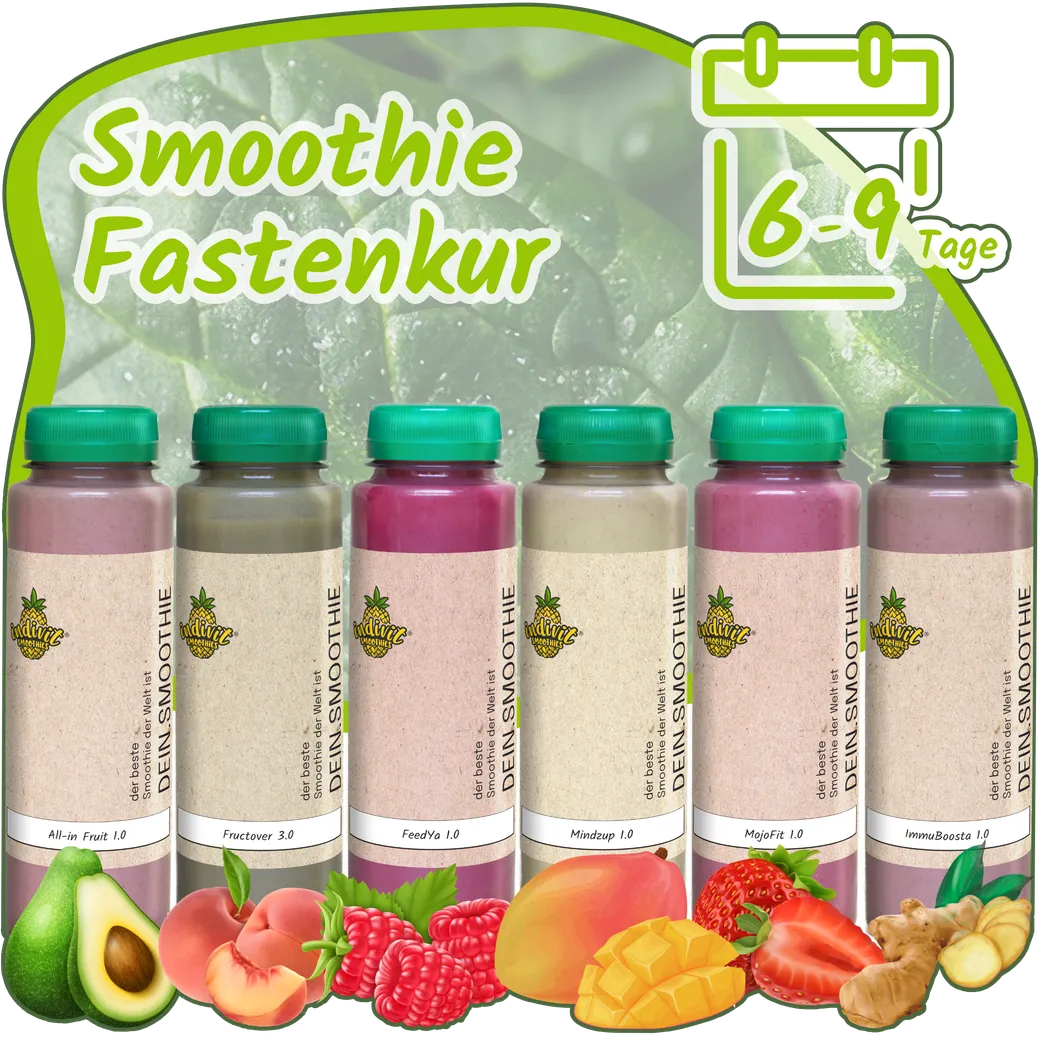 Sechs Flaschen der Smoothie Fastenkur Box für 6-9 Tage Heilfasten nach Buchinger