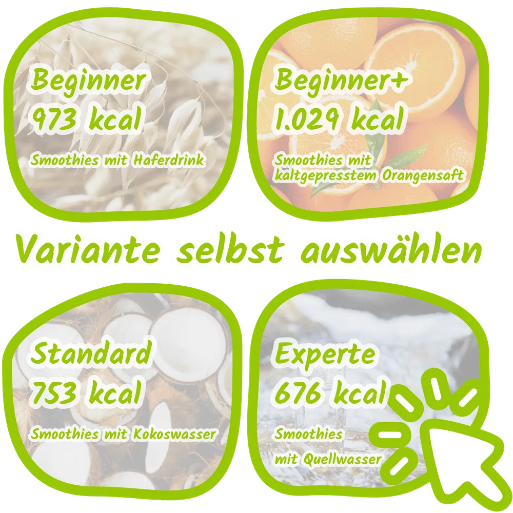 Flexible Optionen für Fastenkur Smoothies in verschiedenen Flüssigkeitsvarianten
