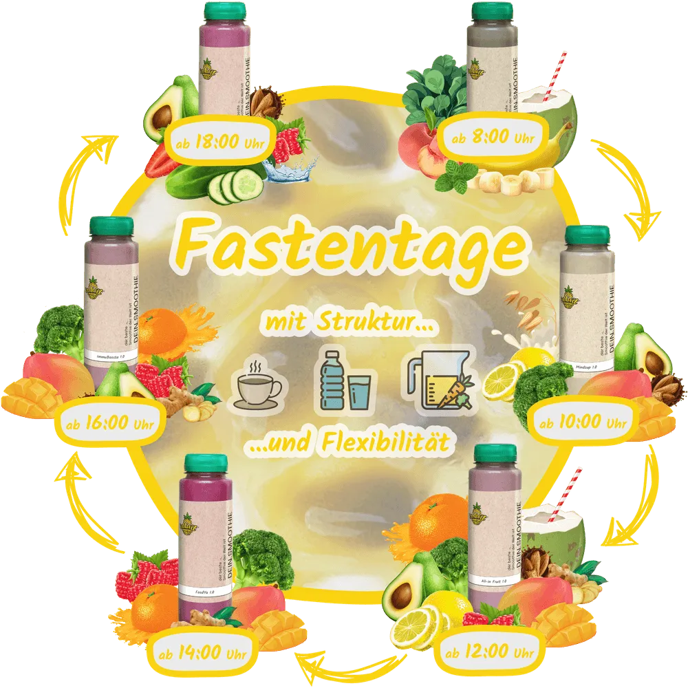 Dein Fastentag von morgens bis abends – 6 Smoothies Grafik mit sechs Smoothies für den Fastentag