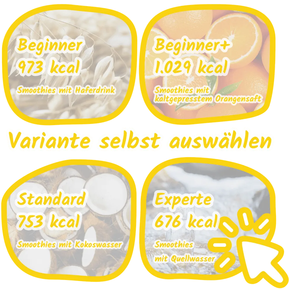 Flexible Optionen für Intervallfasten Smoothies in verschiedenen Flüssigkeitsvarianten
