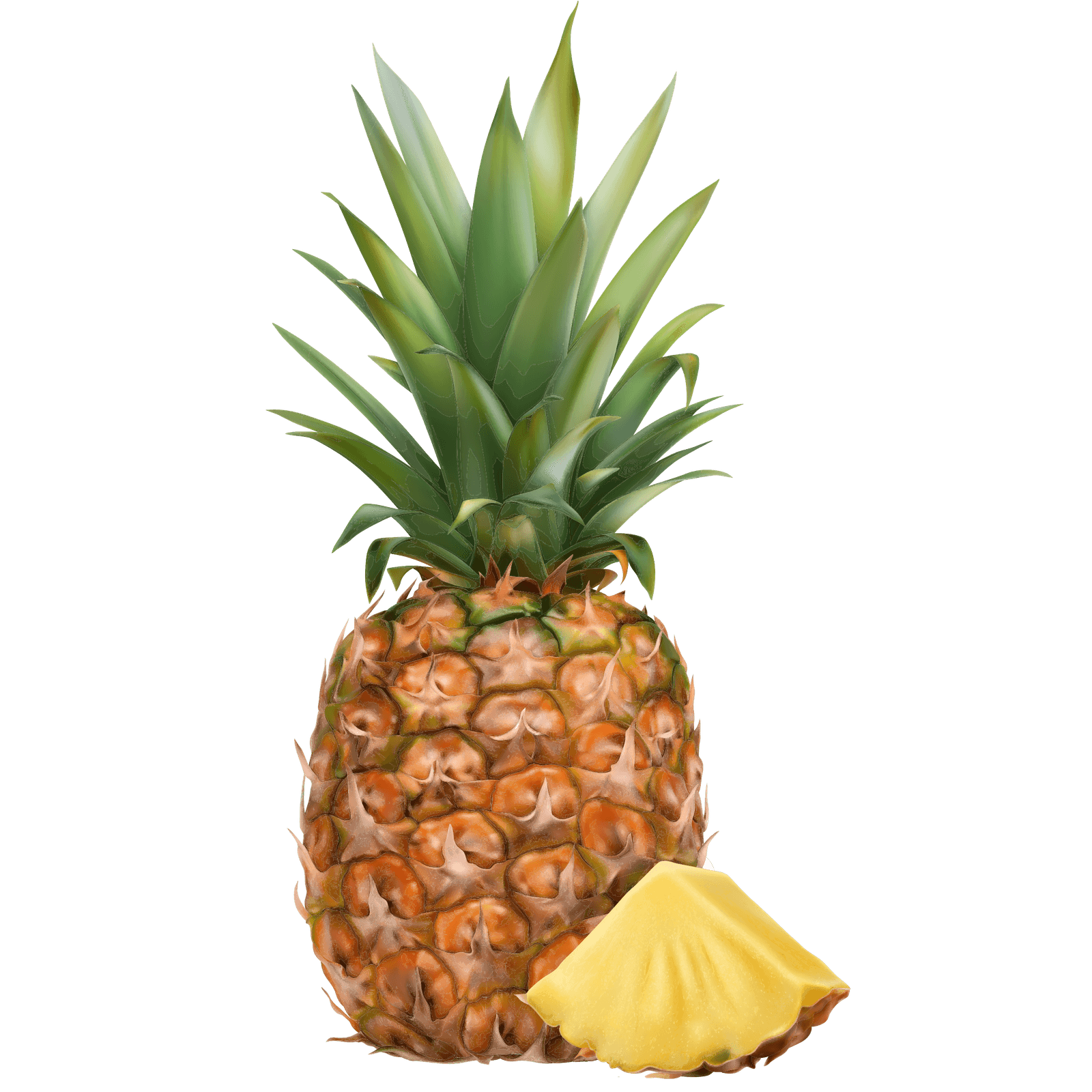 Ananas: Gesundes Tropenobst mit wenig Kalorien