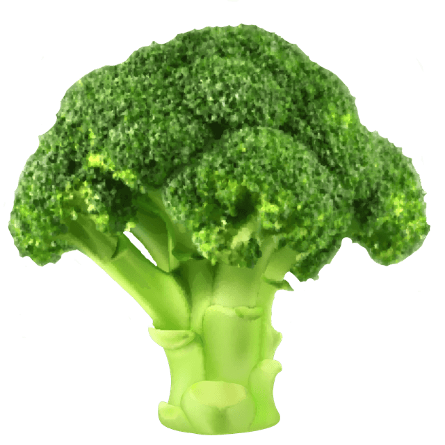 Brokkoli: Kalorienarmes Powergemüse mit Vitamin-C-Boost