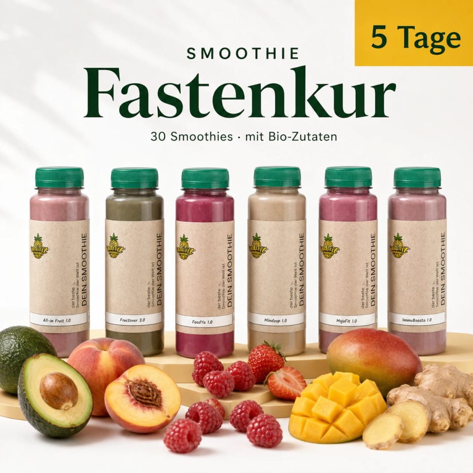 Sechs Flaschen der Smoothie Fastenkur Box für 5 Tage Darmsanierung