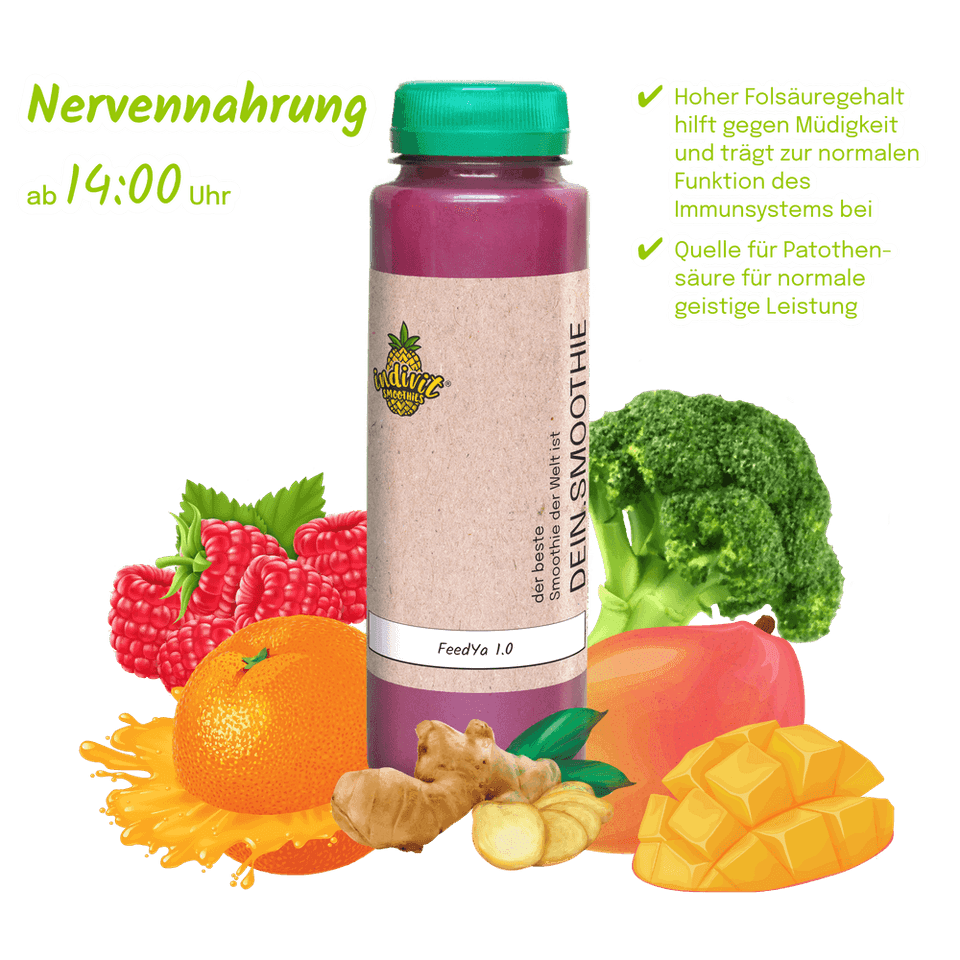 Fastensmoothie als Nervennahrung in der Smoothie Fastenkur Box