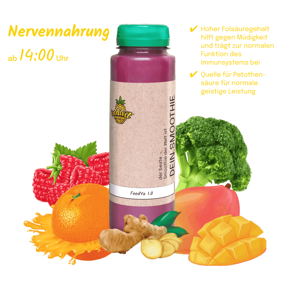 Smoothie-Fasten im stressigen Büroalltag FeedYa 1.0 Intervallfasten Smoothie als Office-Begleiter