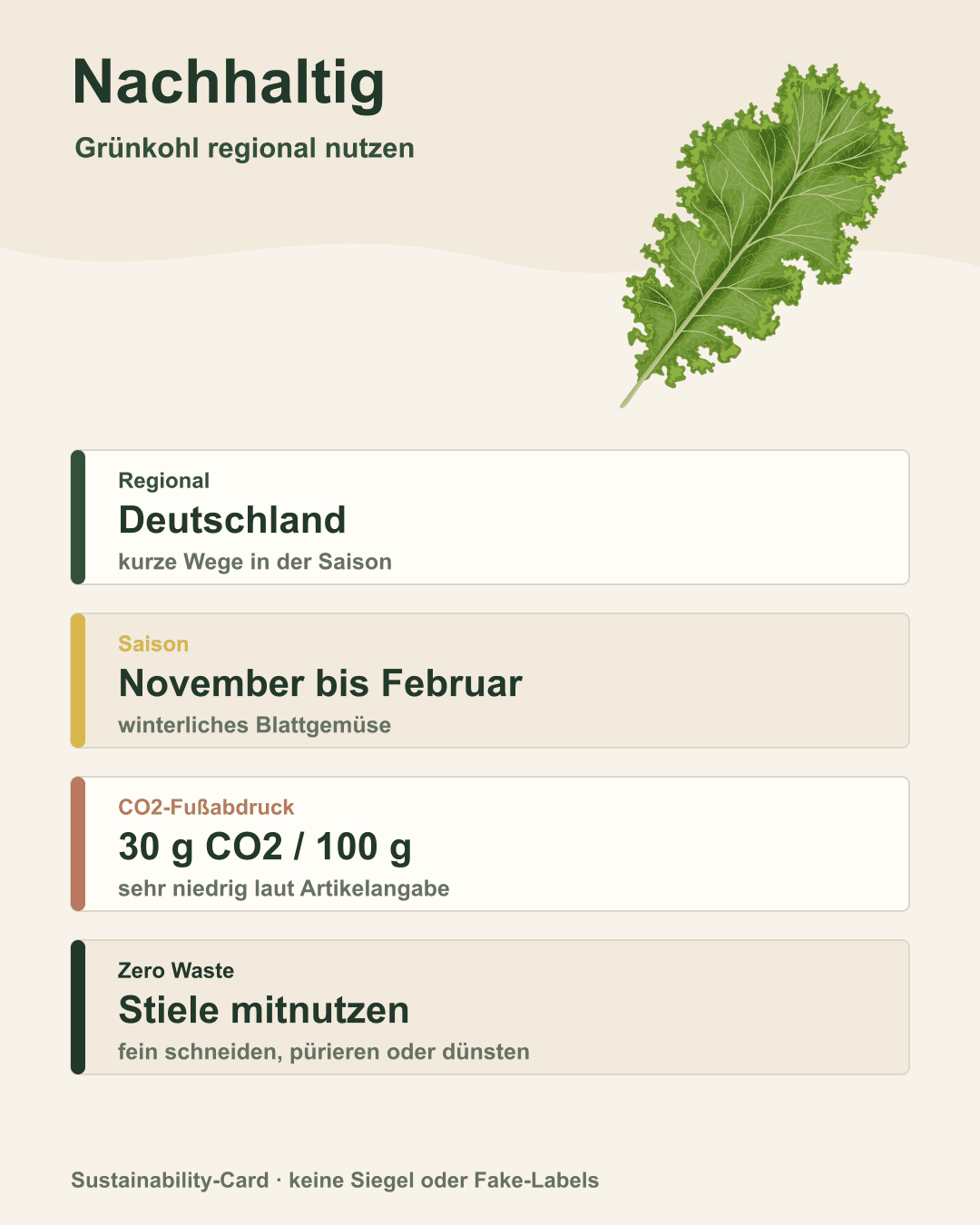 Grünkohl – regional, klimaschonend, zero waste Regionale Grünkohlernte auf Feld mit CO₂-Infografik