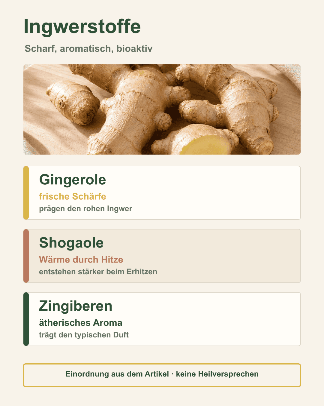 Die drei Hauptwirkstoffe des Ingwers einfach erklärt Infografik über Gingerole, Shogaole und Zingiberen