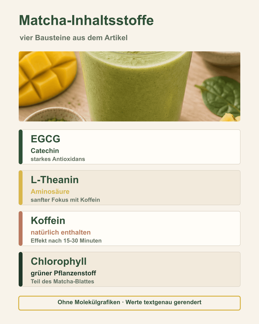 Matcha: Die wichtigsten Wirkstoffe im Überblick Illustration der wichtigsten Matcha-Inhaltsstoffe wie EGCG, L-Theanin, Koffein, Chlorophyll