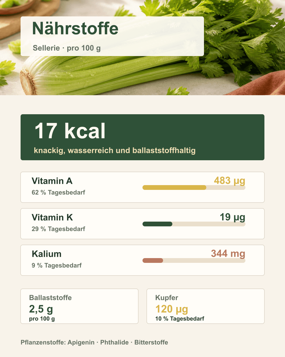 Die wichtigsten Nährstoffe in Sellerie auf einen Blick Infografik mit Sellerie und seinen Vitaminen