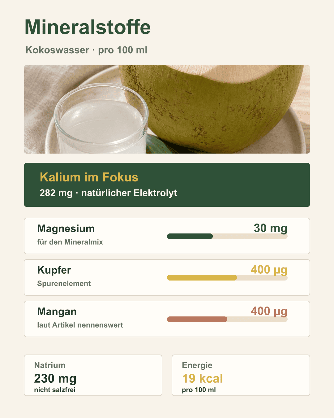 Diese Mineralstoffe stecken in 100 ml Kokoswasser Darstellung der Mineralstoffe in Kokoswasser in illustrativer Form