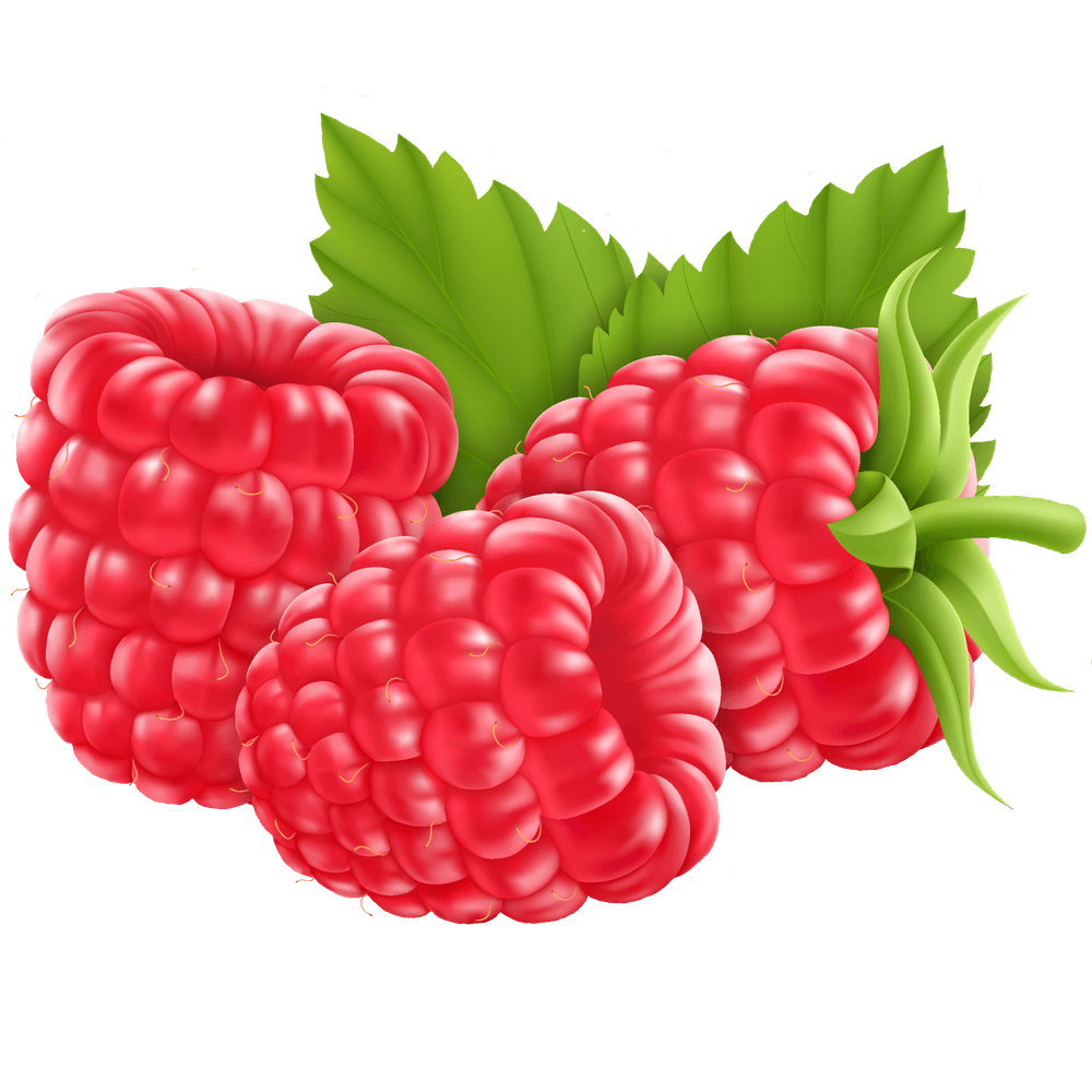 Himbeeren: Kalorienarmes Powerfood mit geballter Nährstoffkraft