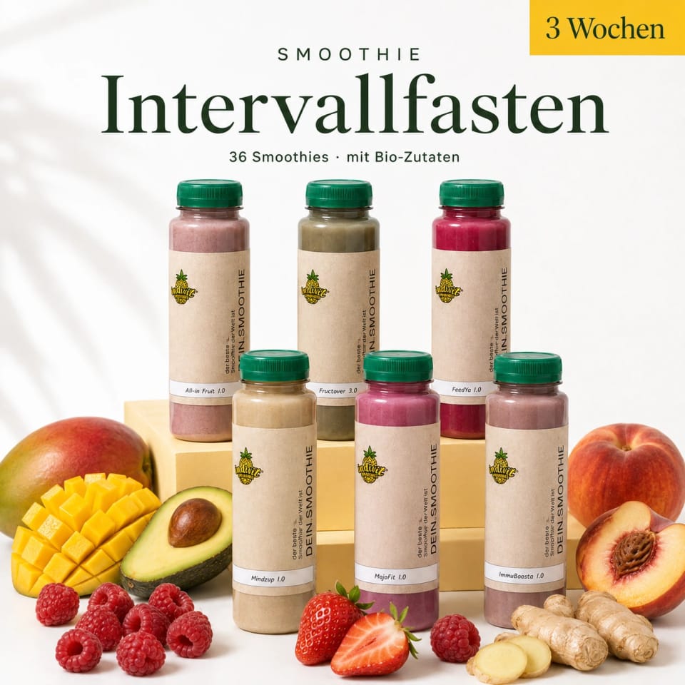 Sechs Flaschen der 3-Wochen Smoothie Intervallfasten Box