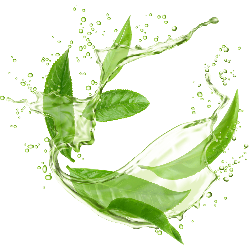 Matcha-Grüntee: Wirkung, Abnehmen und gesunde Inhaltsstoffe im Überblick
