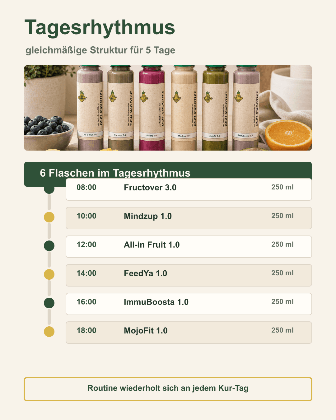 6 Smoothies im Tagesverlauf – perfekt abgestimmt Tagesrhythmus der 5-Tage-Smoothie-Kur mit sechs Indivit Smoothies
