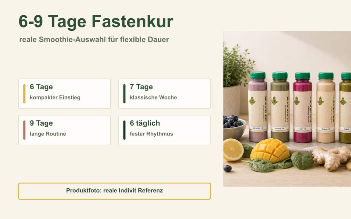 Smoothie-Auswahl für die flexible 6-9 Tage Fastenkur Reale Indivit Smoothie-Flaschen für eine flexible 6 bis 9 Tage Fastenkur