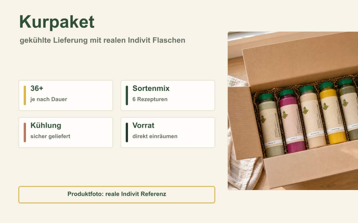 Smoothie-Kurpaket mit allem, was du brauchst Gekühltes Indivit Kurpaket mit realen Smoothie-Flaschen in einer Box