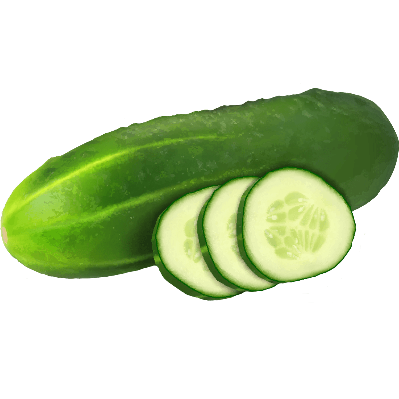 Salatgurke: Kalorienarmes Powergemüse mit Gesundheitsboost