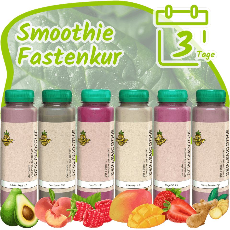 Sechs Flaschen der Smoothie Fastenkur Box für 3 Tage Detox