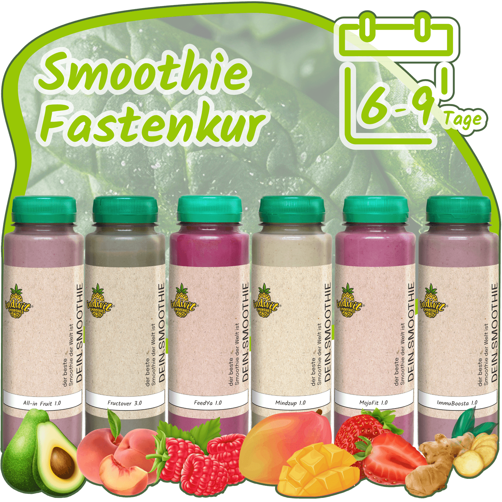 Sechs Flaschen der Smoothie Fastenkur Box für 6-9 Tage Heilfasten nach Buchinger