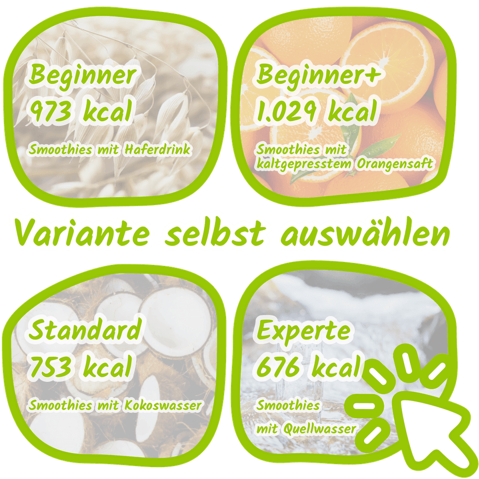 Flexible Optionen für Fastenkur Smoothies in verschiedenen Flüssigkeitsvarianten