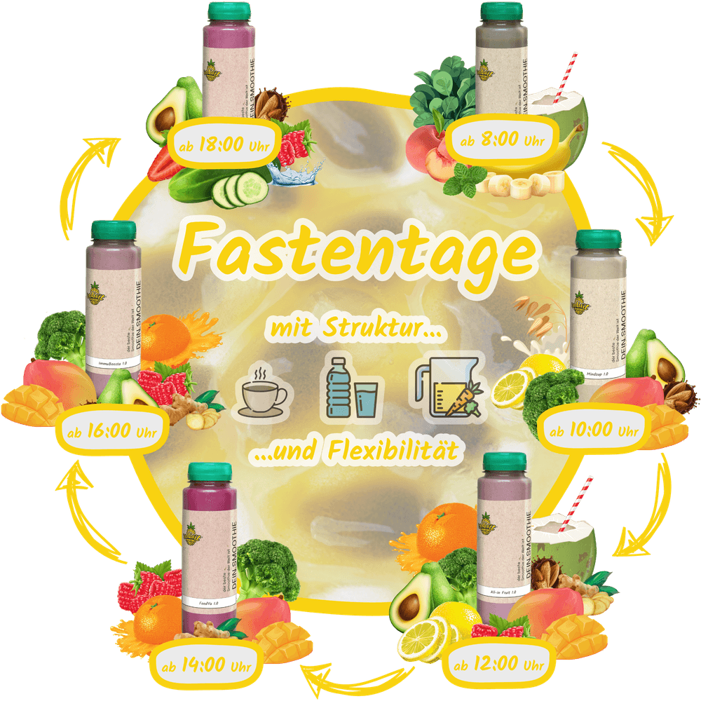Smoothie-Intervallfasten Box mit zeitlichem Ablauf für einen Fastentag
